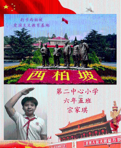 植物大战僵尸18
