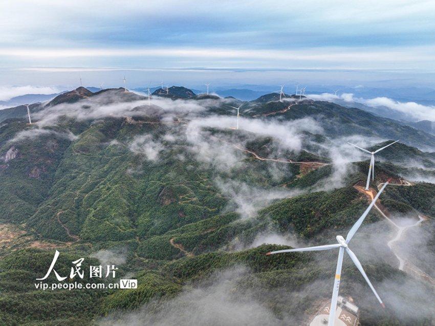 动物帮帮忙保卫家园